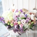 최정인플라워 이미지
