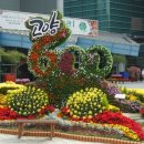 정발산공원 이미지