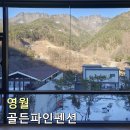 골든파인펜션 | 강원도 영월 골든파인펜션 데이지 후기 힐링숙소