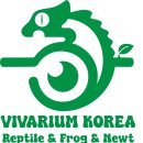 이마트24 대전궁동점 | [공지] 대전 갓성비 크레스티드 게코, 파충류, 양서류, 비바리움 주문 제작 전문 VK 비바리움 코리아!