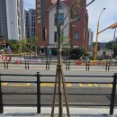 고림고등학교 티스토리