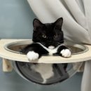 DS동물병원 이미지