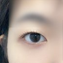 대화약품(주) | 안양속눈썹 [리리브이] 후기
