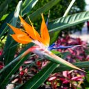 여미지식물원 이미지