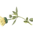 스시반점 이미지