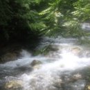 녹번-017 Daum카페