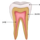 연세란치과의원 이미지