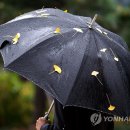 오늘 서울 역대 11월 가장 비 많이 온 날..104년 만에 기록 경신(종합) 이미지