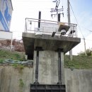 사로교
