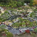 앙상블 포레 이미지