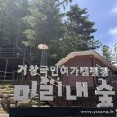거창 국민여가캠핑장 | [여행] 거창국민여가캠핑장 미리내 숲 &#39;노인성&#39; 숙박 후기