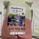 농업회사법인 (주)화천바이오텍 | 물로만 씻어먹어요 / 냉동블루베리 내돈내산 후기 / 채향원