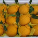 이슬농장2 이미지