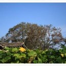 하서원 민박 이미지