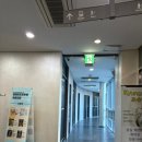 캣츠 | [해운대 플레이포인트랩]부산 방탈출 꽃길 테마- 캣츠아이/후기