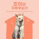 조이/여아/2020년생 추정 이미지