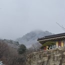 용문사입구공중화장실 | [공지] 양평 상원사, 용문사 탐방 후기