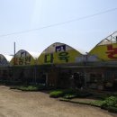 착한농원꽃