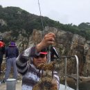 힛트방 이미지