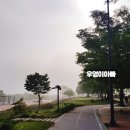 금은모래 캠핑장 이미지