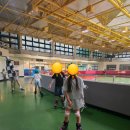 스포렉스 태권도 이미지