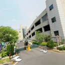 수지로얄약국 네이버블로그