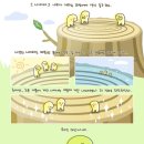 힐링기체조 이미지