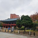 KN 국제행정사사무소 이미지