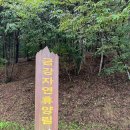 금강자연휴양림 대전일보
