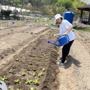 두두농장 이미지