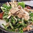 양이야기 이미지