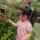 미소담어린이집 이미지