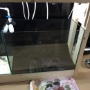 금강엑슬루타워(아)경로당 | 대전 어항설치출장/ 금강엑슬루타워 어항설치 시공후기 (2부)