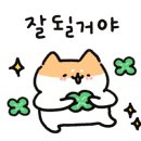 라운딩코리아