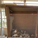 선운목장 이미지