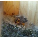 동강우체국 이미지