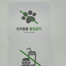 디자인몰 이미지