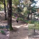 홍이소아청소년과의원 이미지