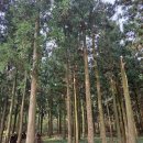 제주 힐링하우스 이미지