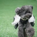 파주힐링몽 이미지