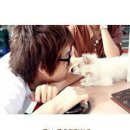징어야징어야 이미지