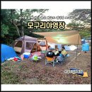 모구리야영장(일출봉영지) | 제주도 캠핑장 서귀포 아이랑 함께 하기 좋은 제주 모구리야영장 2박3일 후기