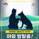 유엔미 이미지