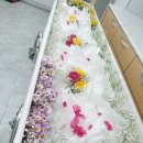 원주의료원 이미지