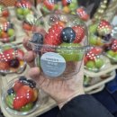 세븐일레븐 대덕연구단지점 | 항공우주연구원 방문 케이터링 후기｜대덕연구단지 VIP 테이블세팅