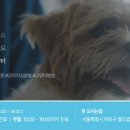 상암 진 동물의료센터 이미지