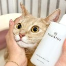 목욕하는 고양이 | 고양이 샴푸 추천 보다더 프리미엄 펫 샴푸 한 병 다 써본 솔직 후기