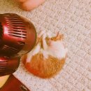비겐닥터 네이버블로그