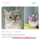 행신동물병원 이미지