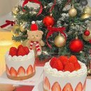 Berrys Bear 네이버블로그